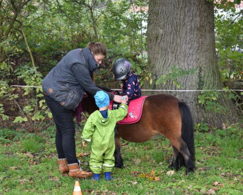 Kinderheim Kleine Strolche - Kontakt mit Ponys